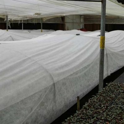 rasgón blanco de la tela no tejida el 190cm de la agricultura 160gsm resistente