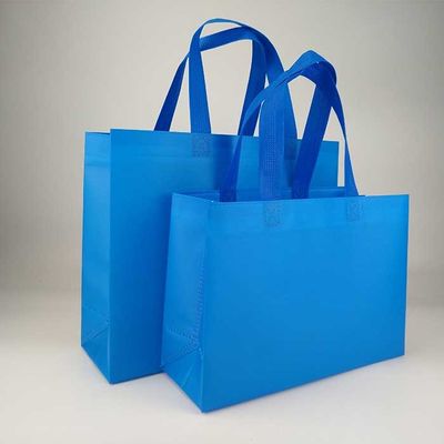 Bolso de compras resistente del polipropileno 80Gsm del rasgón Eco amistoso